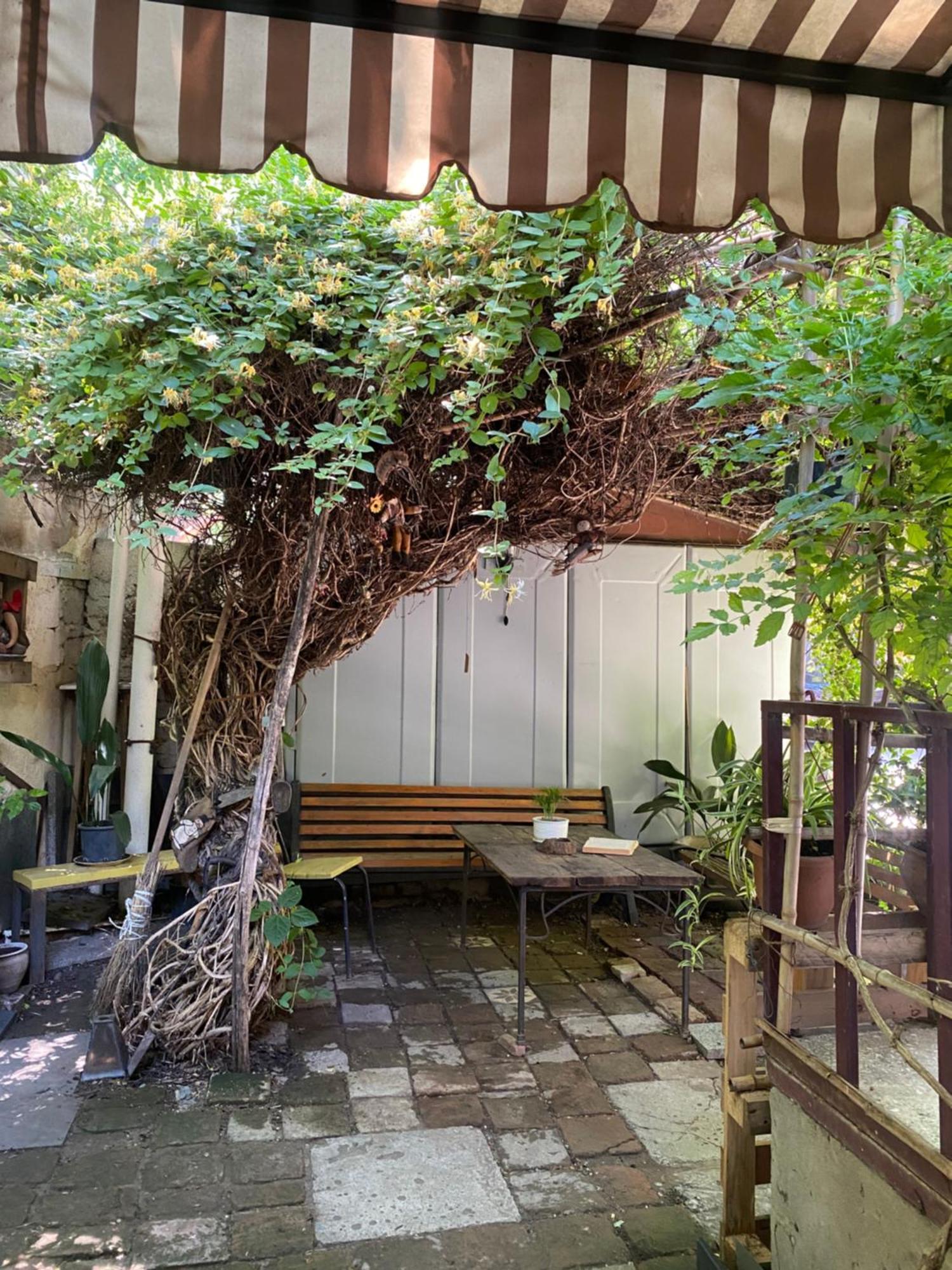 Cozy Zandukeli N15 - Centre * Tbilisi